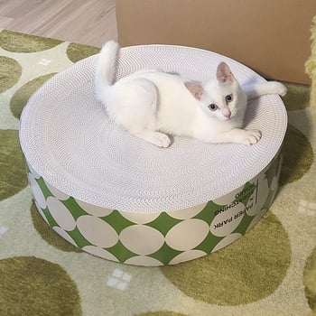 Ενσωματωμένη φωλιά γάτας και επιφάνεια γρατσουνίσματος από κυματοειδή χαρτόνι, διπλής όψεως ανθεκτική στη φθορά, κυκλική βάση γρατσουνίσματος