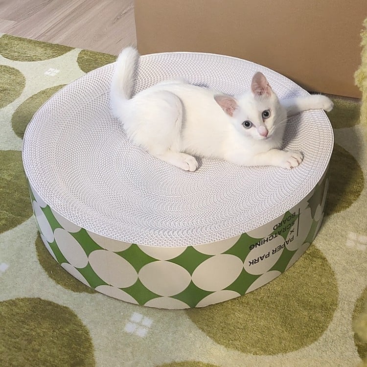 Ενσωματωμένη φωλιά γάτας και επιφάνεια γρατσουνίσματος από κυματοειδή χαρτόνι, διπλής όψεως ανθεκτική στη φθορά, κυκλική βάση γρατσουνίσματος