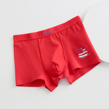 Etx Bokserice za dječake s srednjim pojasom od pamuka 95% - Zodiac Year boxer briefs, u kutiji, 8+ godina