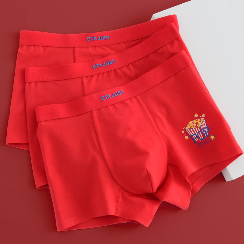 Etx Bokserice za dječake s srednjim pojasom od pamuka 95% - Zodiac Year boxer briefs, u kutiji, 8+ godina
