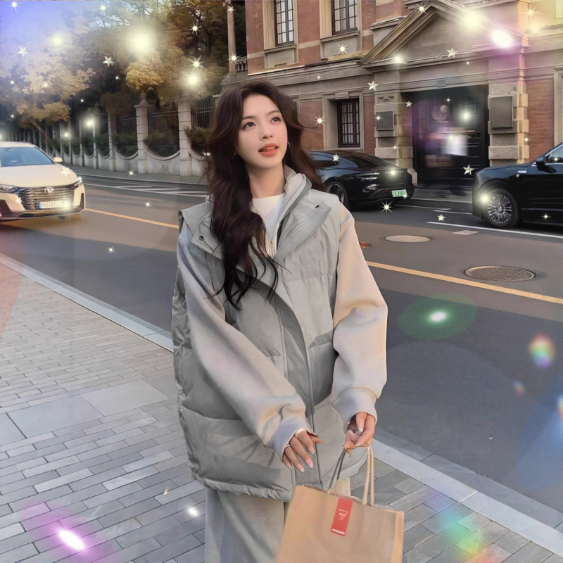 Γυναικείο γιλέκο από πολυεστέρα, με υψηλό γιακά, φερμουάρ εμπρός, κανονικό μήκος, μονόχρωμο σχέδιο, γέμισμα πολυεστέρα, άνετο στυλ ιαπωνο-κορεατικό