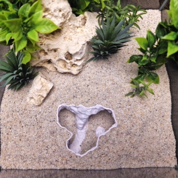 Dekoracija za akvarij: srcolita skeletna špilja sa velikim otvorom za uzgoj i promatranje; plast, 3D ispis, aq2510b