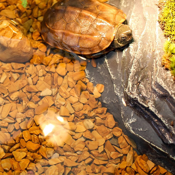 Kamene na krajinu pre akvárium a korytnačky – mikro krajinový substrát s kamienkami, pôvod Čína, domáci výrobok, neobmedzené balenie