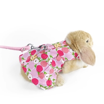 Ρούχα και λουρί για κατοικίδιο κουνέλι – καρτούν στυλ, βαμβάκι, Radish Valley, γενικής χρήσης