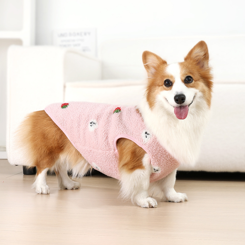 Háziállat mellény: téli meleg, aranyos stílus, poliészter (anyag: poliészter; szezon: tél; nem: uniszex)