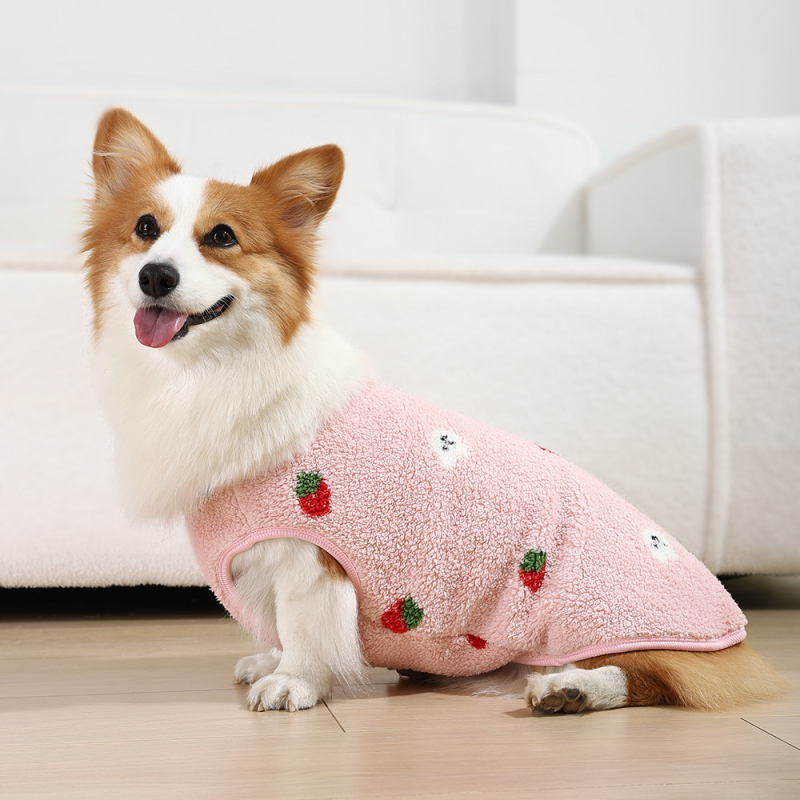 Háziállat mellény: téli meleg, aranyos stílus, poliészter (anyag: poliészter; szezon: tél; nem: uniszex)