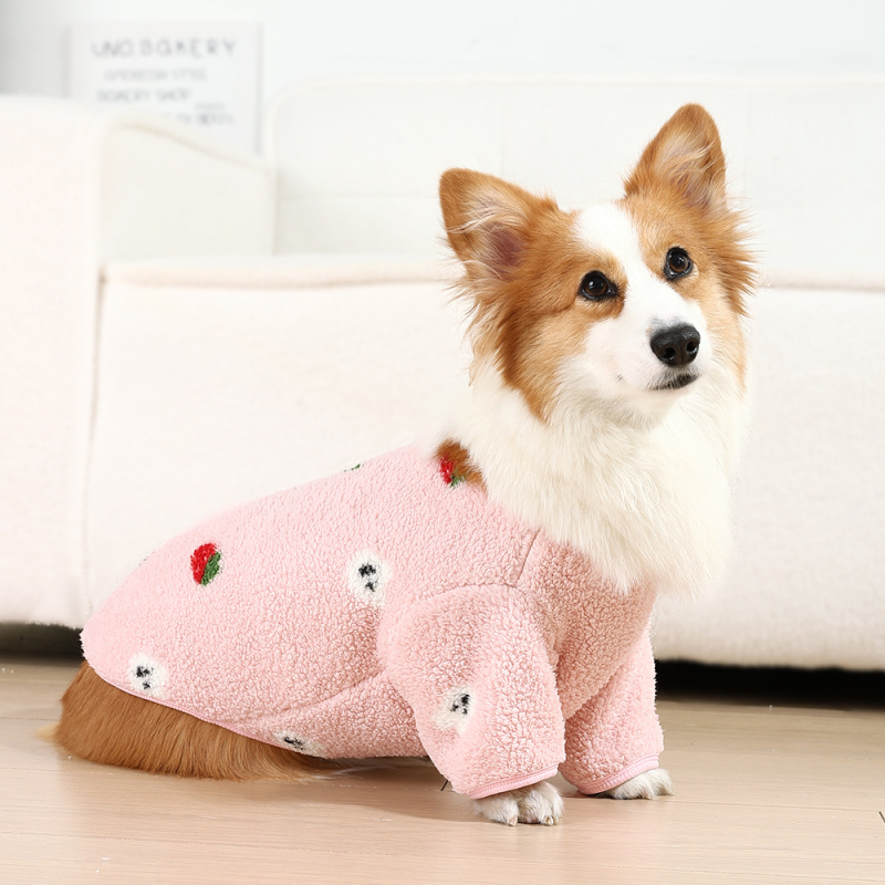 Háziállat mellény: téli meleg, aranyos stílus, poliészter (anyag: poliészter; szezon: tél; nem: uniszex)