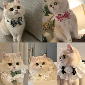 Μπιμπ για κατοικίδια, Άνετο στυλ (Πρότυπο: Γράμματα, Διαδικασία: Jacquard, Υφανση: Άλλο, Εποχές: Τέσσερις εποχές)