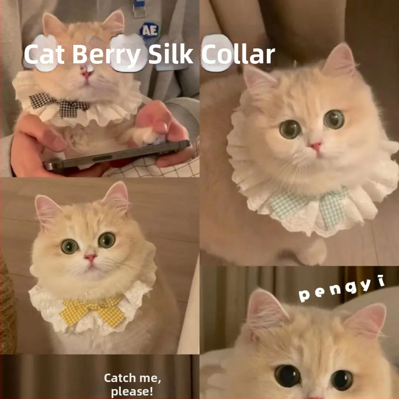 Pet Bib, Ležérny štýl (Vzor: Písmeno, Spracovanie: Jacquard, Tkanie: Iné, Sezóna: Štyri ročné obdobia)