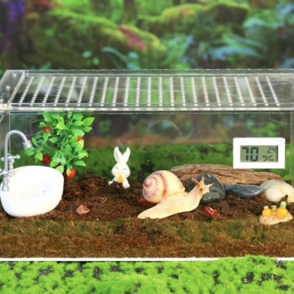 Habitat din plastic pentru animale mici, cu izolație transparentă groasă — cutie de creștere