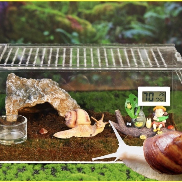 Habitat din plastic pentru animale mici, cu izolație transparentă groasă — cutie de creștere