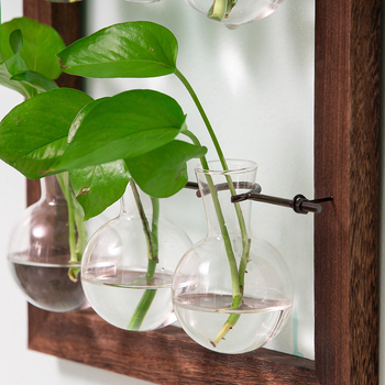 Стъклена ваза за стена, окачваща, за хидропонни растения, ръчна изработка, полирана повърхност
