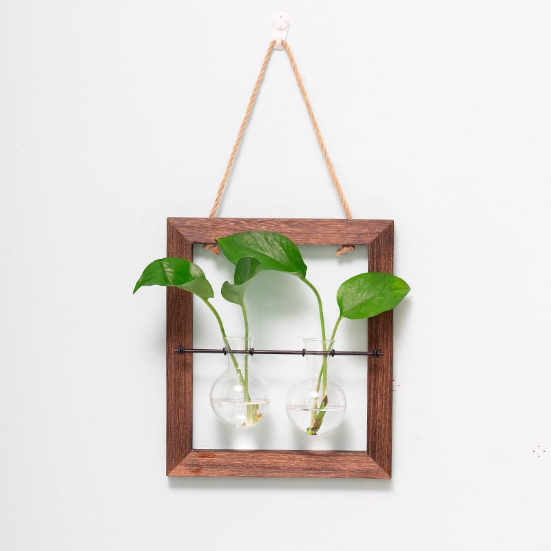 Стъклена ваза за стена, окачваща, за хидропонни растения, ръчна изработка, полирана повърхност