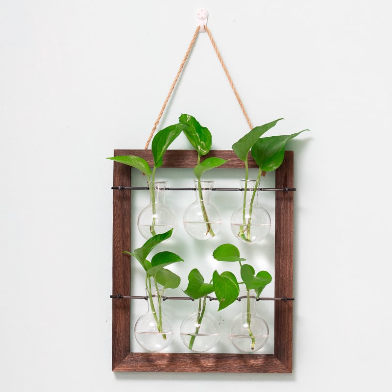 Стъклена ваза за стена, окачваща, за хидропонни растения, ръчна изработка, полирана повърхност