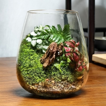 Μικρό τοπίο σε γυάλινο μπουκάλι terrarium για γραφείο — Μοντέλο ZY2533, Υλικό: Άλλο, Εισαγωγή: Όχι