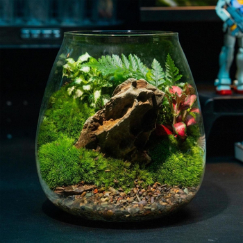 Μικρό τοπίο σε γυάλινο μπουκάλι terrarium για γραφείο — Μοντέλο ZY2533, Υλικό: Άλλο, Εισαγωγή: Όχι