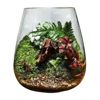 Μικρό τοπίο σε γυάλινο μπουκάλι terrarium για γραφείο — Μοντέλο ZY2533, Υλικό: Άλλο, Εισαγωγή: Όχι