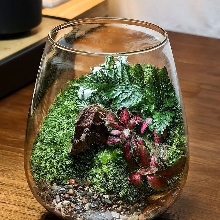 Μικρό τοπίο σε γυάλινο μπουκάλι terrarium για γραφείο — Μοντέλο ZY2533, Υλικό: Άλλο, Εισαγωγή: Όχι
