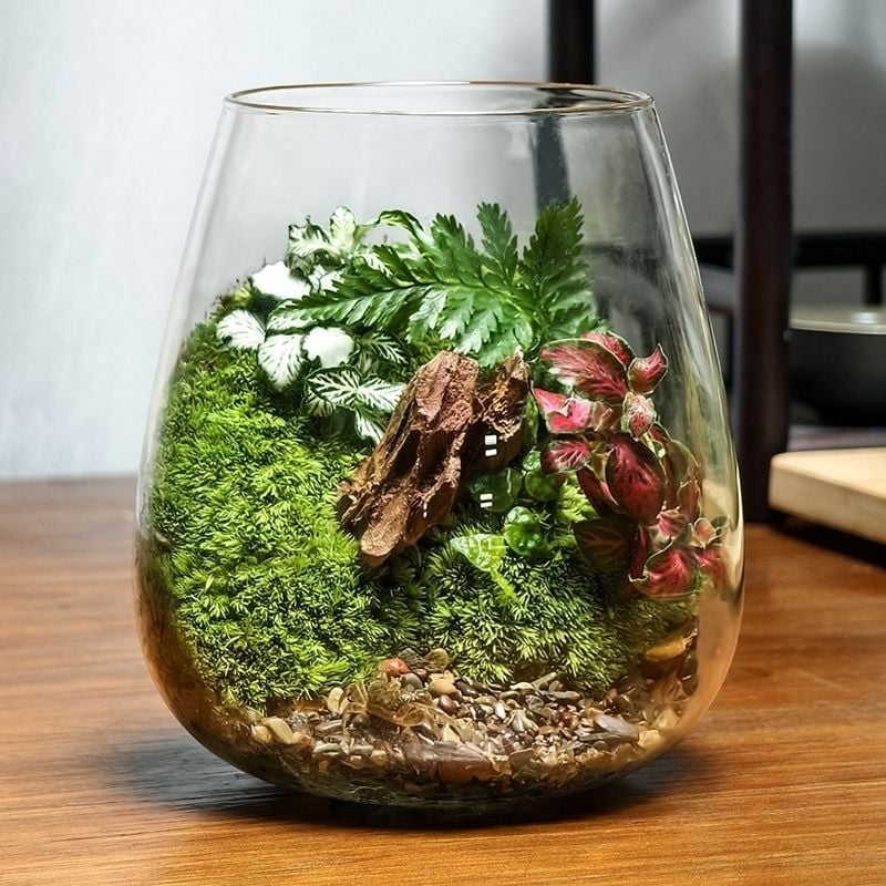 Μικρό τοπίο σε γυάλινο μπουκάλι terrarium για γραφείο — Μοντέλο ZY2533, Υλικό: Άλλο, Εισαγωγή: Όχι