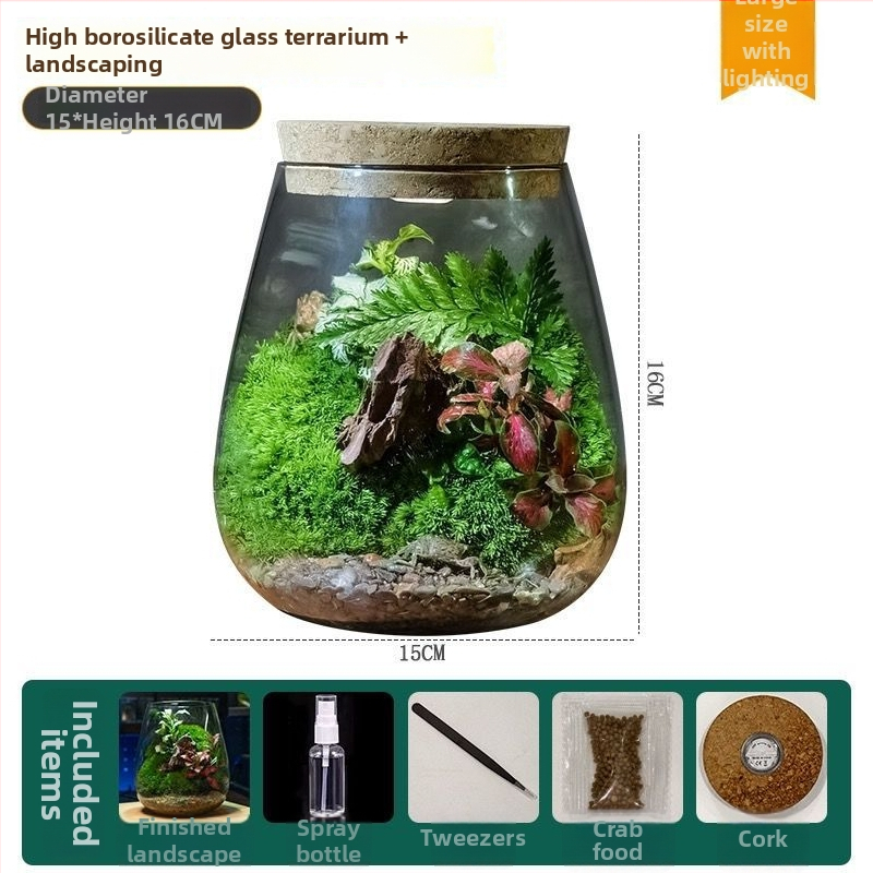 Mini krajina v skle na stole – terárium, Model ZY2533, Materiál: Iné, Importované: Nie