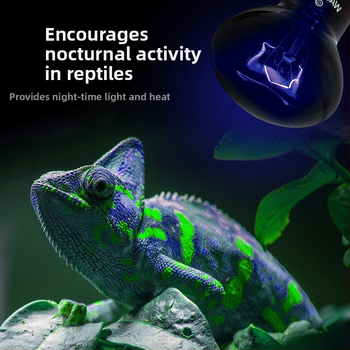 Wacool Play Cool noćna grijaća lampa za reptile — staklo + grijačka žica, 35/50/75/100W, 0,16 kg