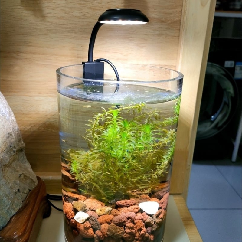 LED lampa za akvarij s klipsom za stolnu upotrebu - PC materijal, klips dizajn, svjetlo za rast