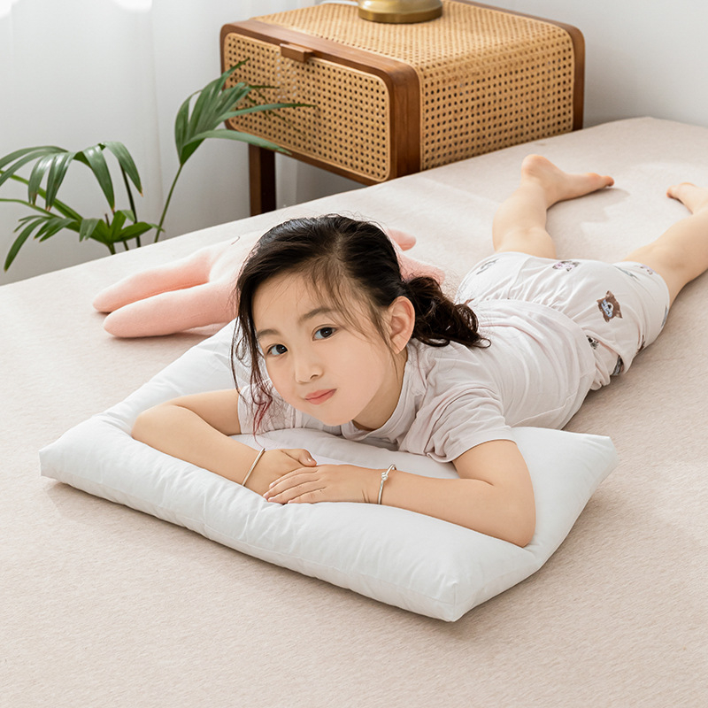 Ζεύγος μαξιλαριών αυχένα – ορθογώνιο σχήμα, γέμισμα ινών πολυεστέρα, ύφασμα ινών χημικών ινών, κατάλληλο για ενήλικες