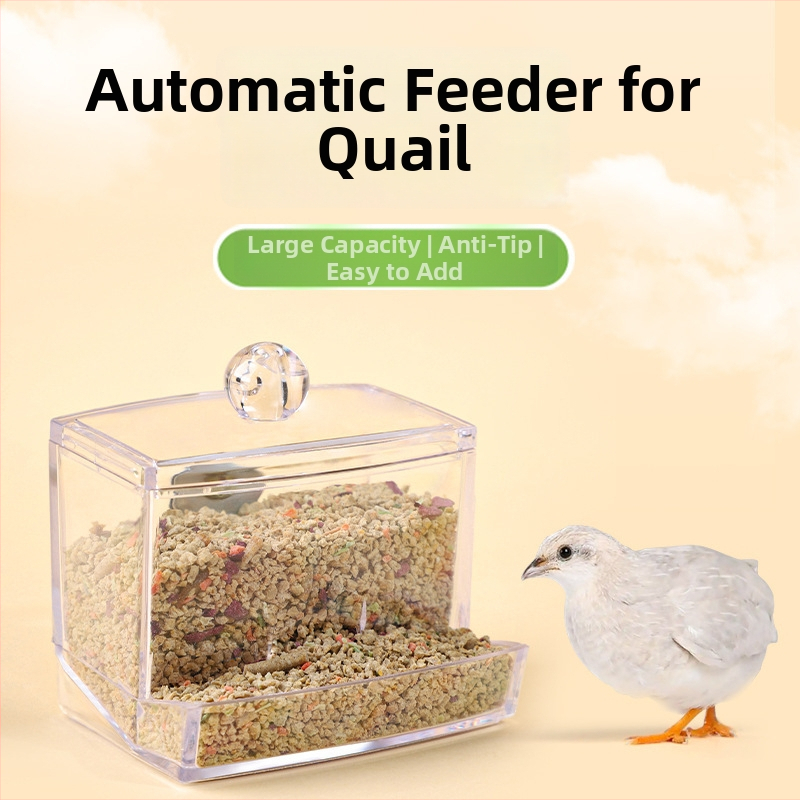 Akrylový automatický kŕmnik pre hydinu s dávkovačom vody (Weibi)