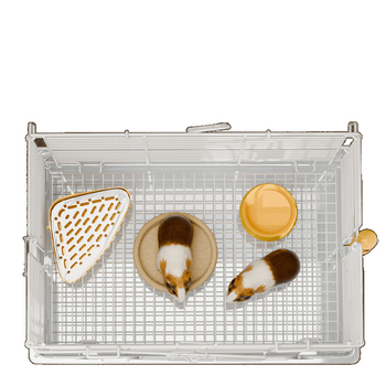 Kavez za zečeve – metalni, za kućne ljubimce, marka Druga, neimportirano