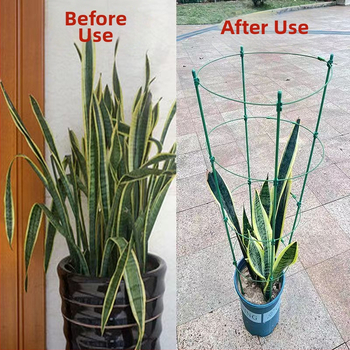 Вътрешен катерещ държач за растения с пластмасова опора за рози и клематис