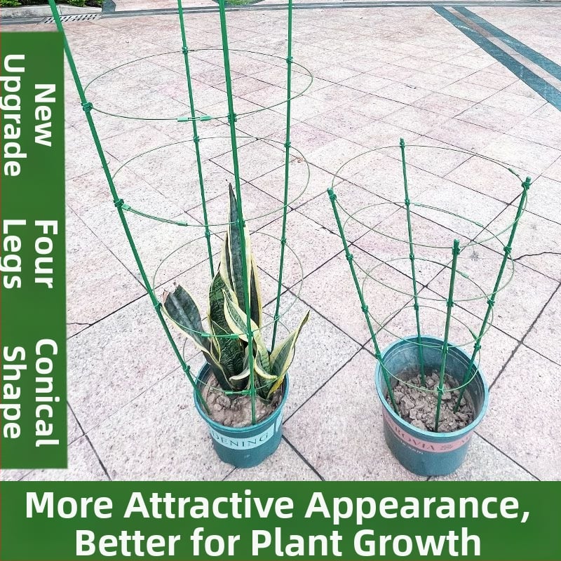 Вътрешен катерещ държач за растения с пластмасова опора за рози и клематис