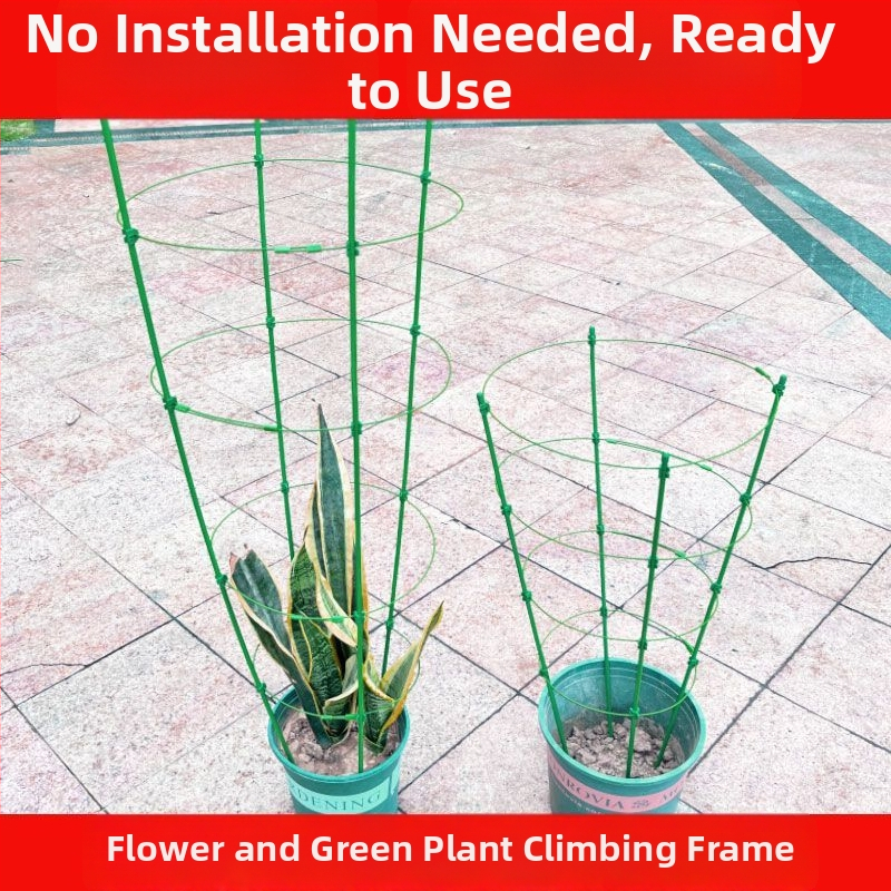 Вътрешен катерещ държач за растения с пластмасова опора за рози и клематис