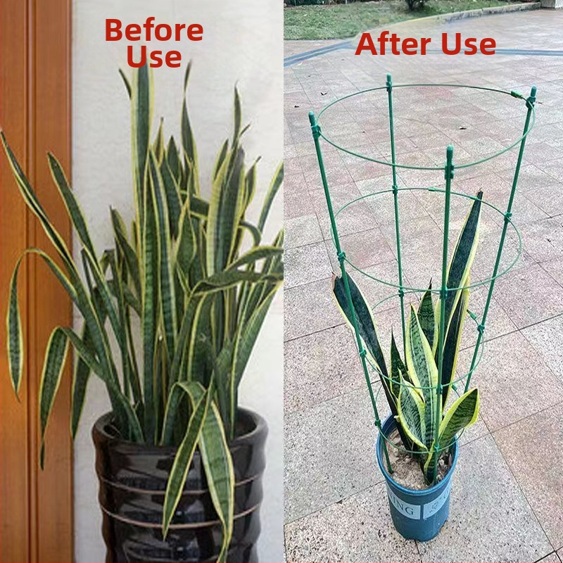 Вътрешен катерещ държач за растения с пластмасова опора за рози и клематис