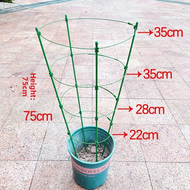 Вътрешен катерещ държач за растения с пластмасова опора за рози и клематис