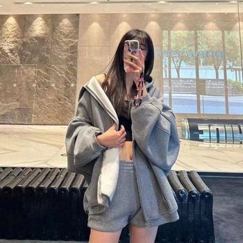 Hoodie s kapuljačom na zip, fleec podstava, pamuk, ležerni kroj, dugi rukavi, zima 2023