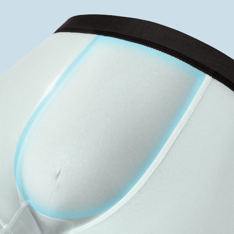 Pamukaste muške gaćice za novorođenčad, jesensko izdanje 2025