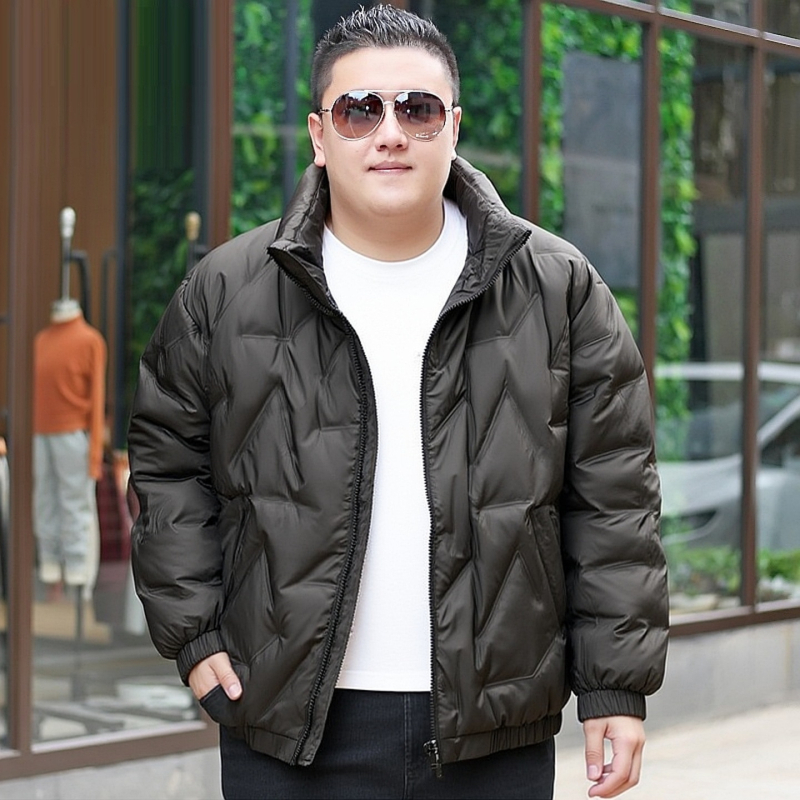 Zimska jakna od pačjeg perja, debeli kroj, stojeći ovratnik i zip, 850 punjenja