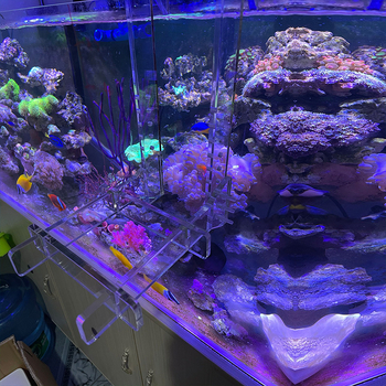 Ακρυλικό στήριγμα κοραλλιών για ενυδρείο με γάντζο ανάρτησης και ισχυρή βεντούζα, πολυλειτουργικό, βάρος 300