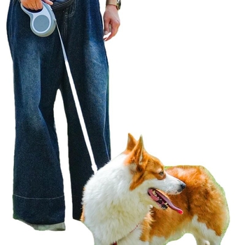 Macska behúzható póráz selyem virág medállal, Ninth Level márka, kisállat kötél