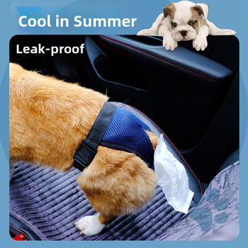 Senior psov výkaly vrecko a zhromažňovací nástroj - inkontinencia výkaly pre staršie psy (Pôvod: Iné; Obsah balenia: Iné; Kategória produktu: Toaleta)