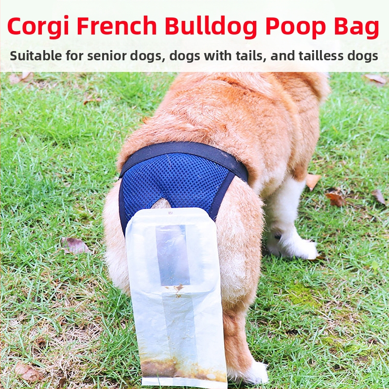 Senior psov výkaly vrecko a zhromažňovací nástroj - inkontinencia výkaly pre staršie psy (Pôvod: Iné; Obsah balenia: Iné; Kategória produktu: Toaleta)