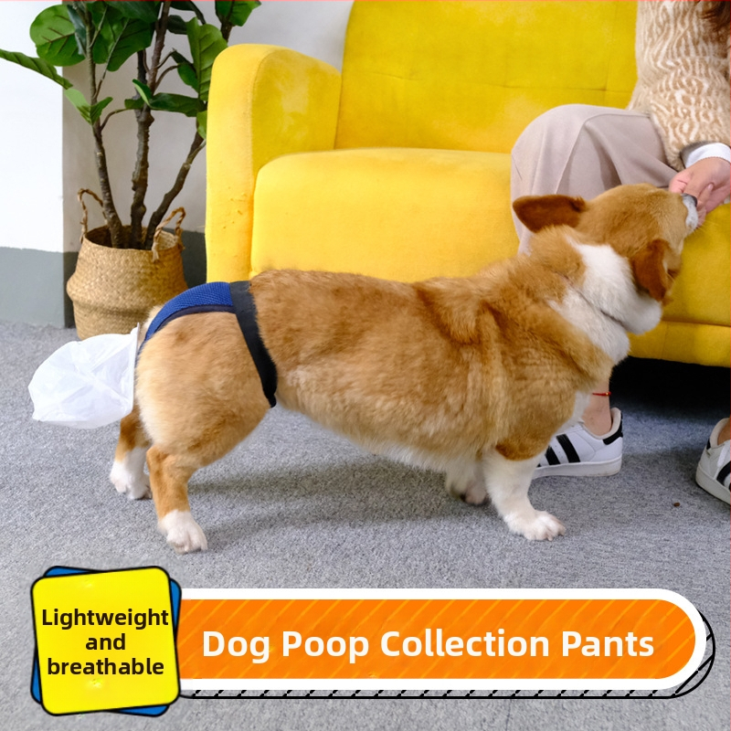 Senior psov výkaly vrecko a zhromažňovací nástroj - inkontinencia výkaly pre staršie psy (Pôvod: Iné; Obsah balenia: Iné; Kategória produktu: Toaleta)