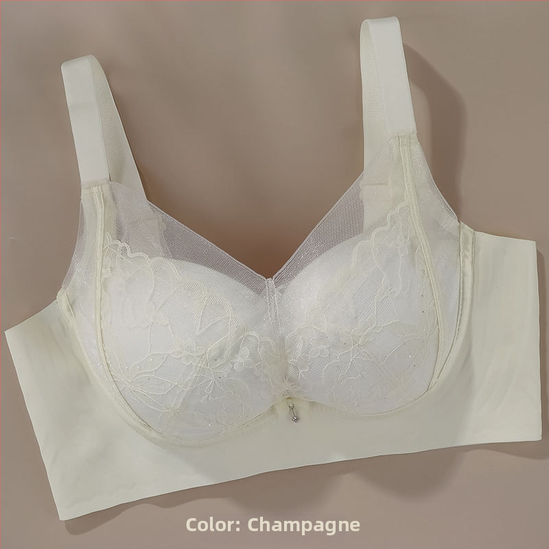 Sutien Push-Up din dantelă din mătase de mulberry, țesătură nylon, căptușeală din mătase de mulberry, cupe 3/4, bretele fixe duble, închidere pe spate cu patru rânduri