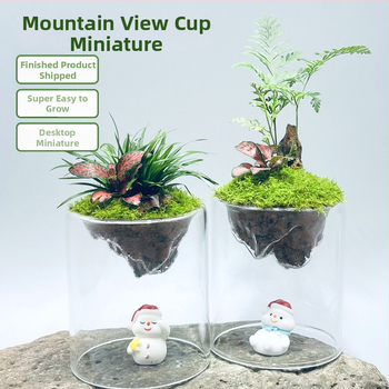 Ръчно изработена бутилка от боросиликатно стъкло за мъх с планински пейзаж