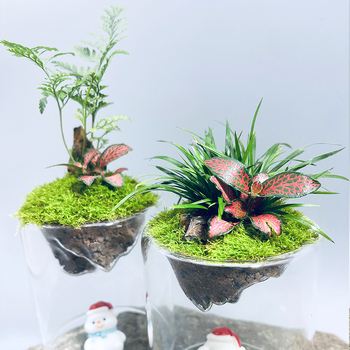 Ръчно изработена бутилка от боросиликатно стъкло за мъх с планински пейзаж