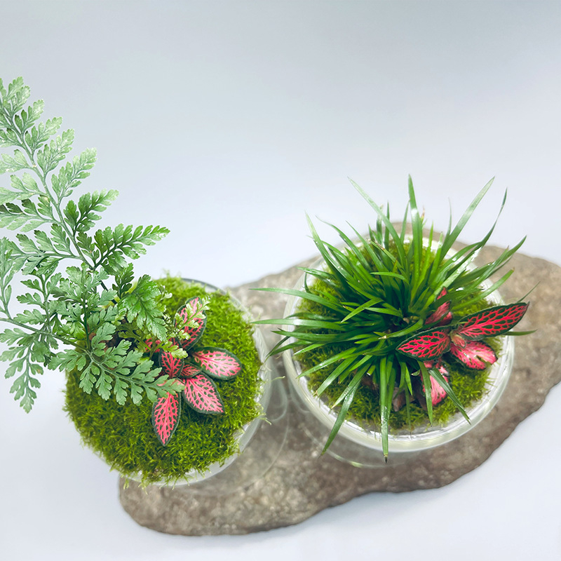 Ръчно изработена бутилка от боросиликатно стъкло за мъх с планински пейзаж