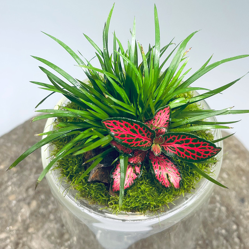 Ръчно изработена бутилка от боросиликатно стъкло за мъх с планински пейзаж