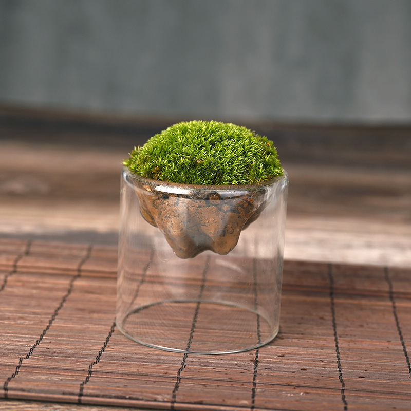 Ръчно изработена бутилка от боросиликатно стъкло за мъх с планински пейзаж