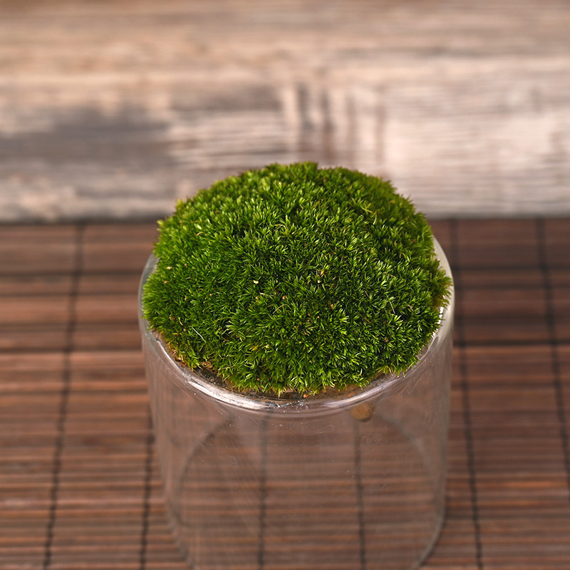 Ръчно изработена бутилка от боросиликатно стъкло за мъх с планински пейзаж