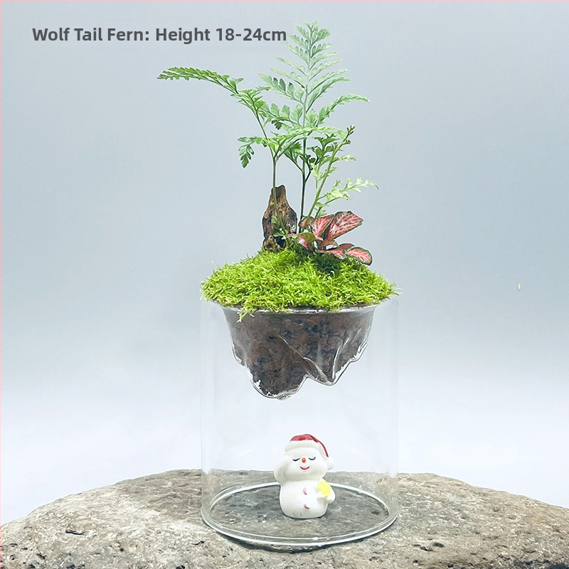 Ръчно изработена бутилка от боросиликатно стъкло за мъх с планински пейзаж